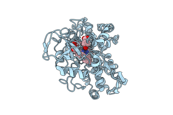 8GLZ image