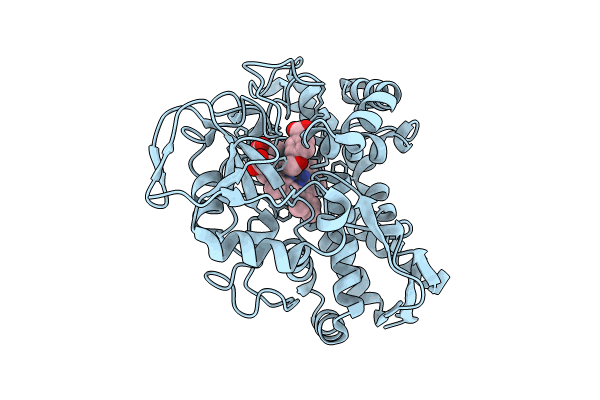8GM1 image