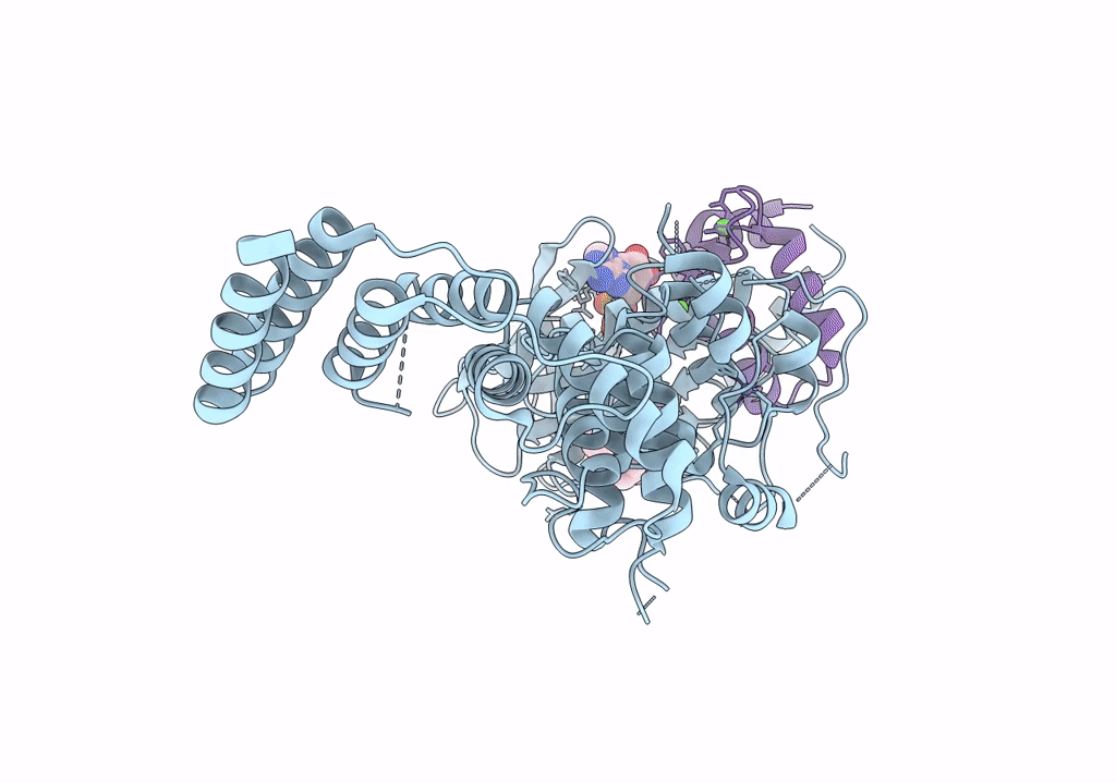 8GM5 image