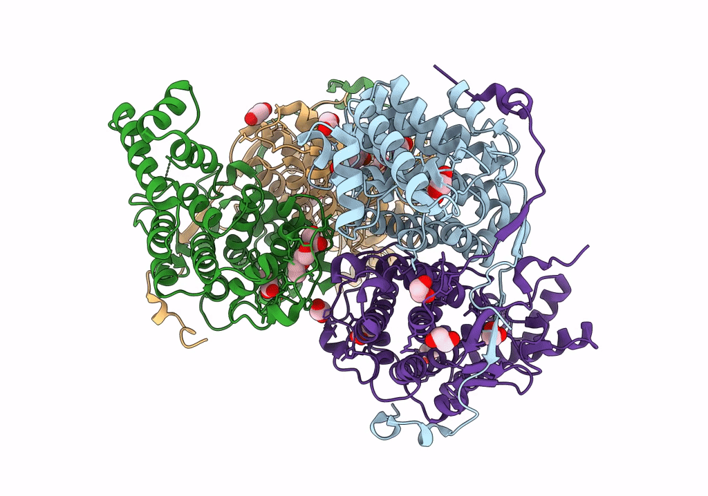 8GM9 image