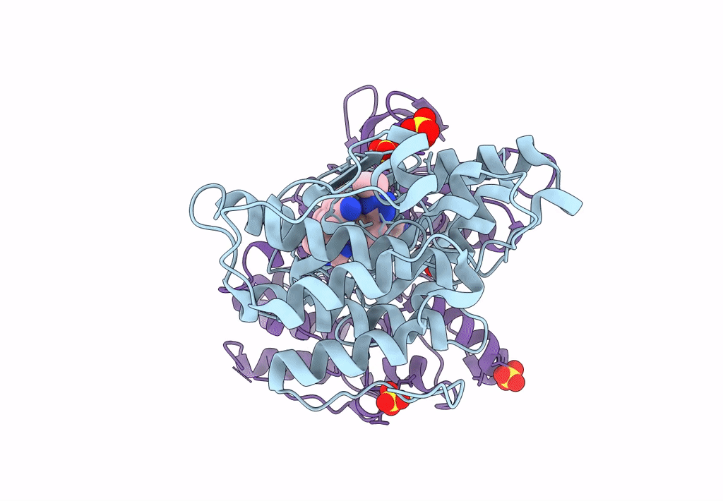 8GMD image