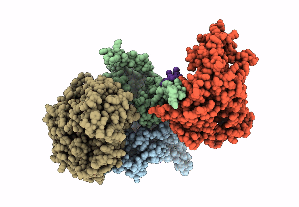 8GME image