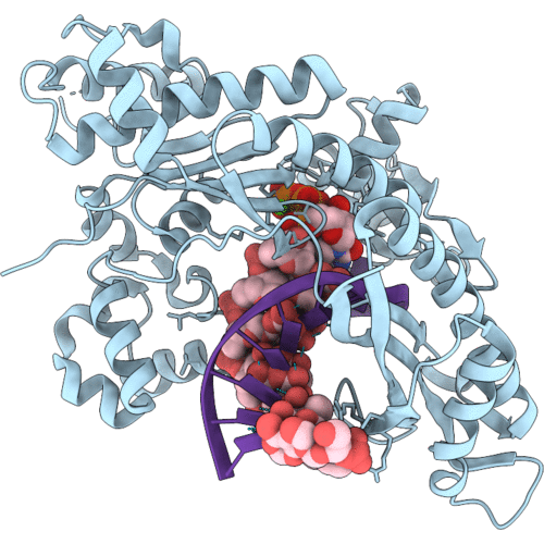 8GML image