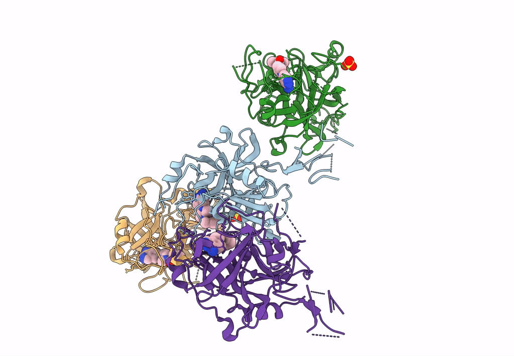 8GMN image
