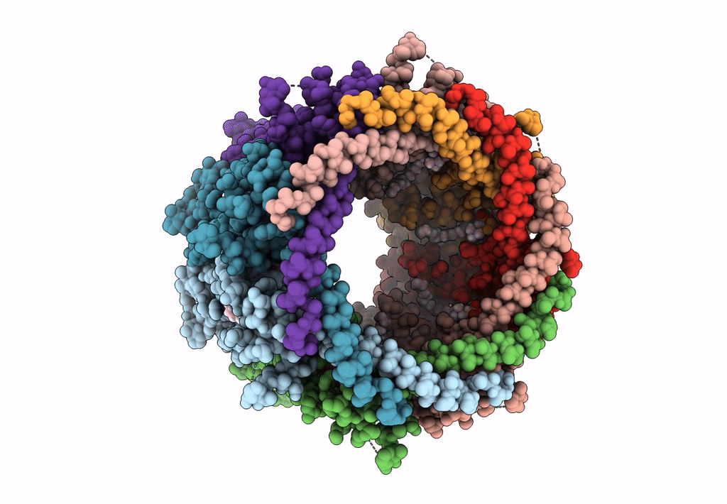 8GMR image