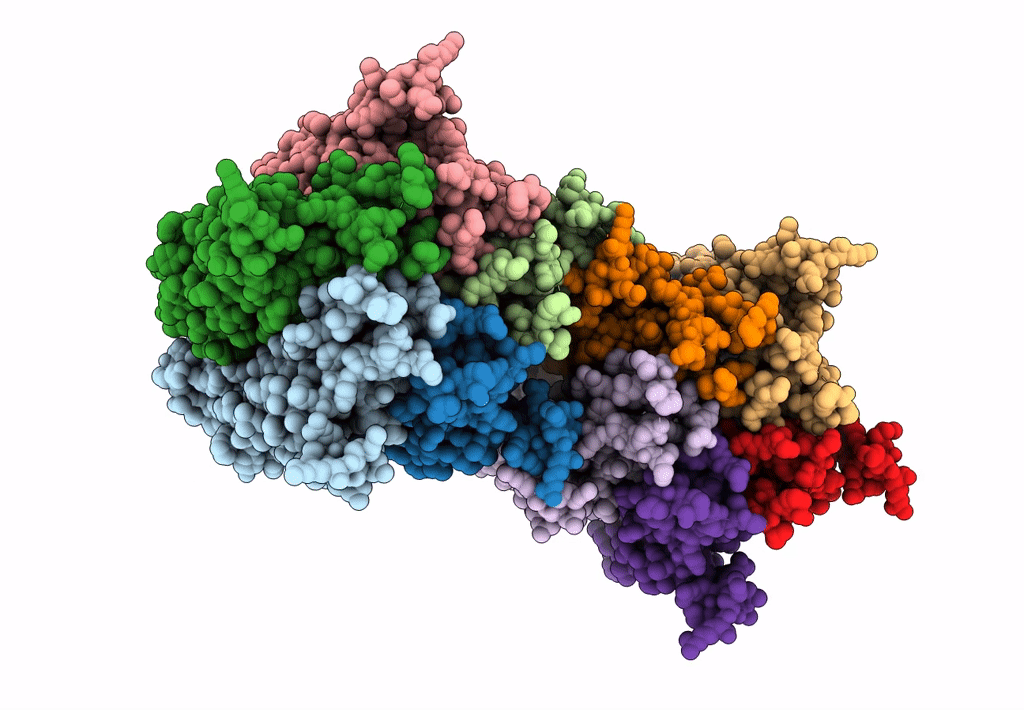 8GNB image