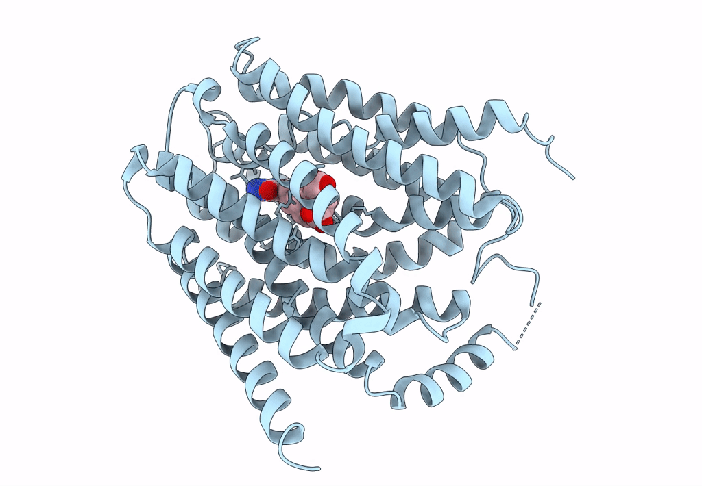 8GOF image