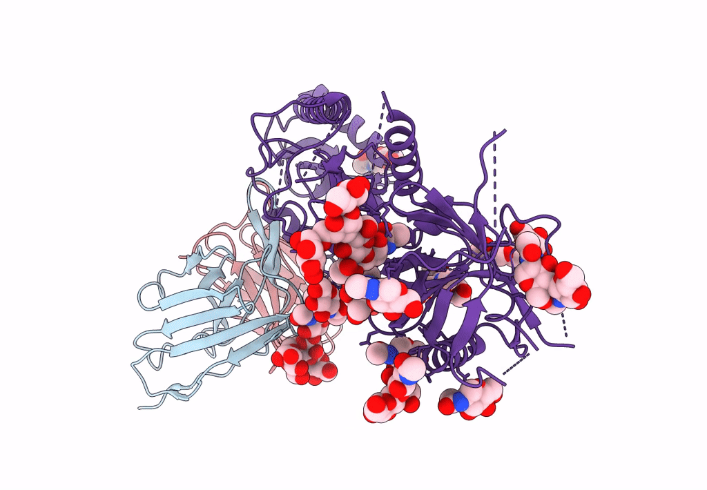 8GP5 image
