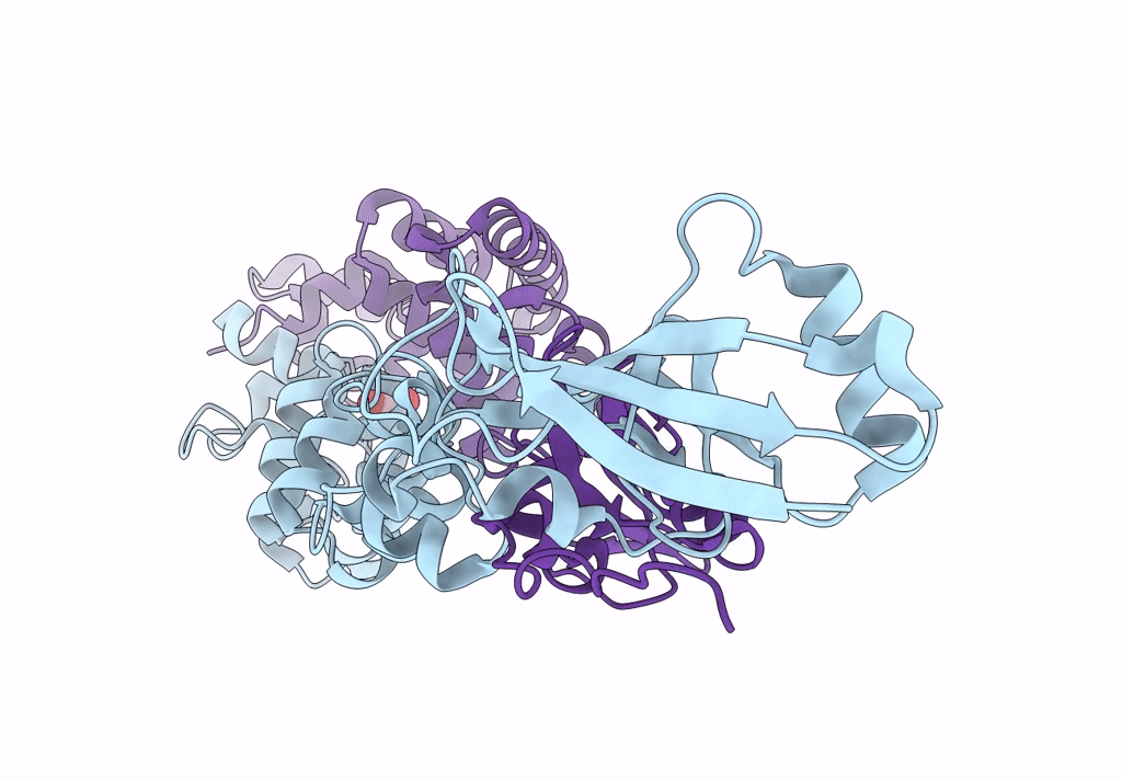 8GP6 image