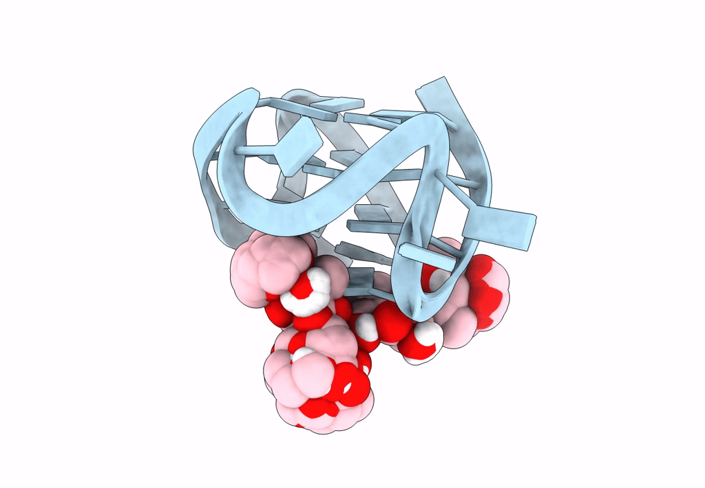 8GP7 image