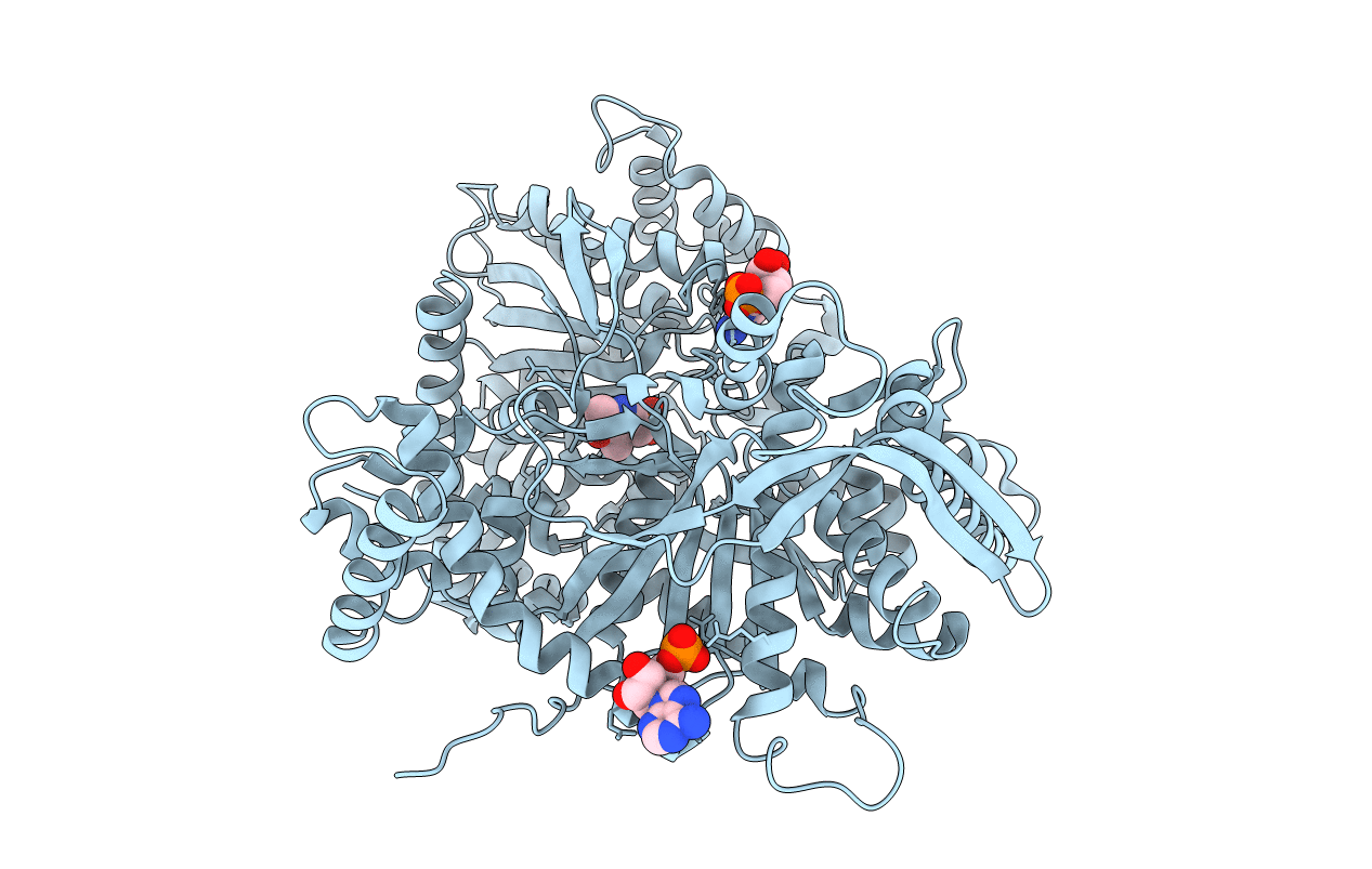 8GPB image
