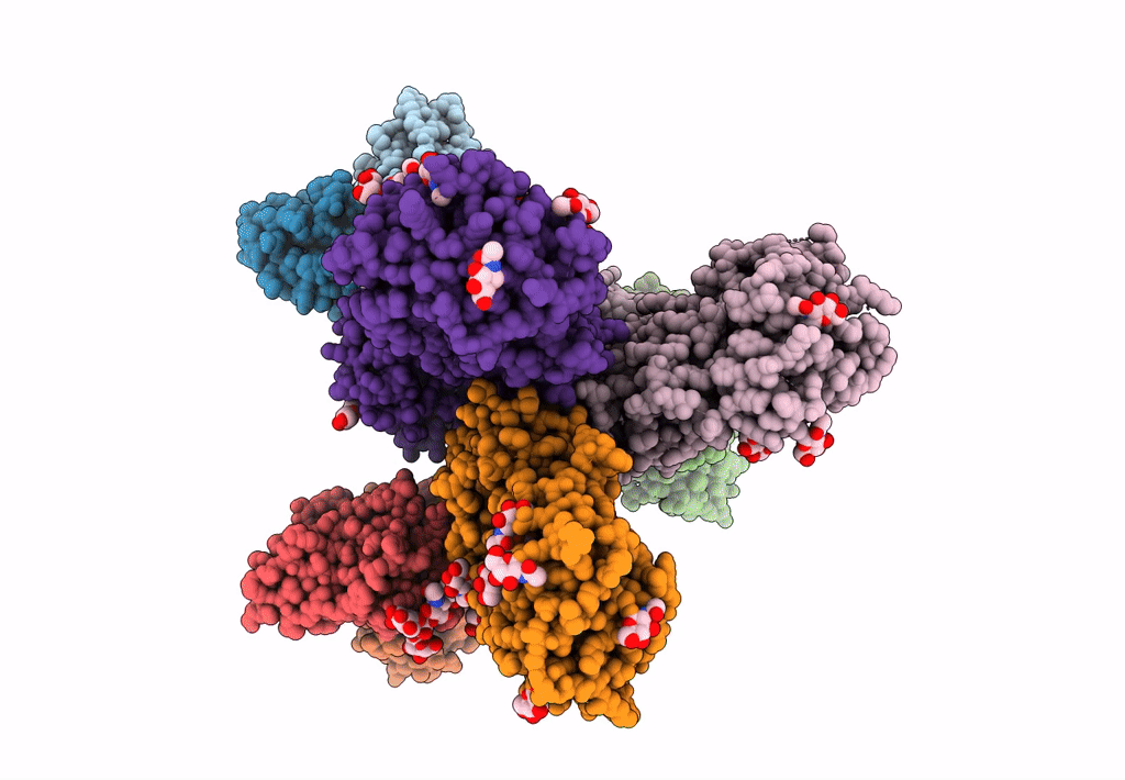 8GPG image