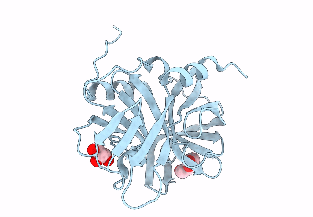 8GPH image