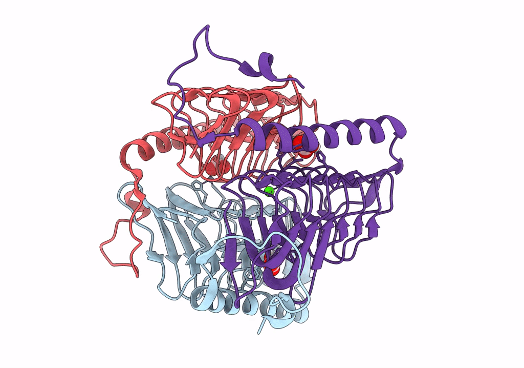 8GPP image