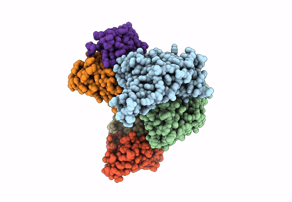 8GPY image