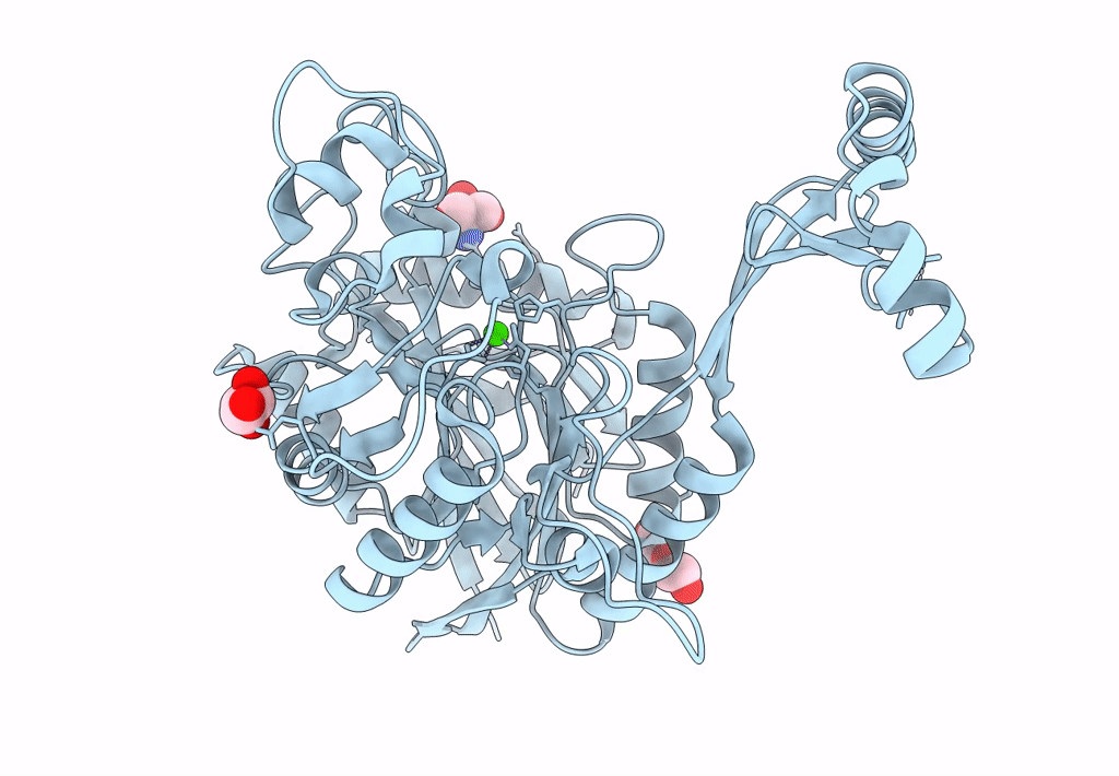 8GQB image