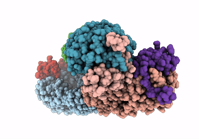 8GQD image