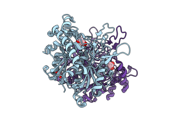 8GQI image