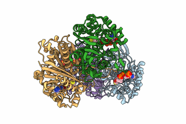 8GQN image