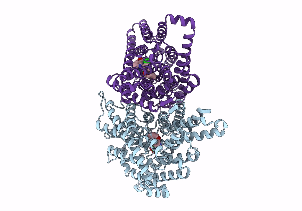 8GQU image