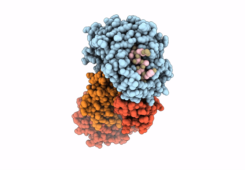 8GQV image
