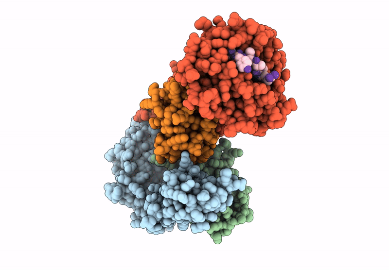 8GQW image