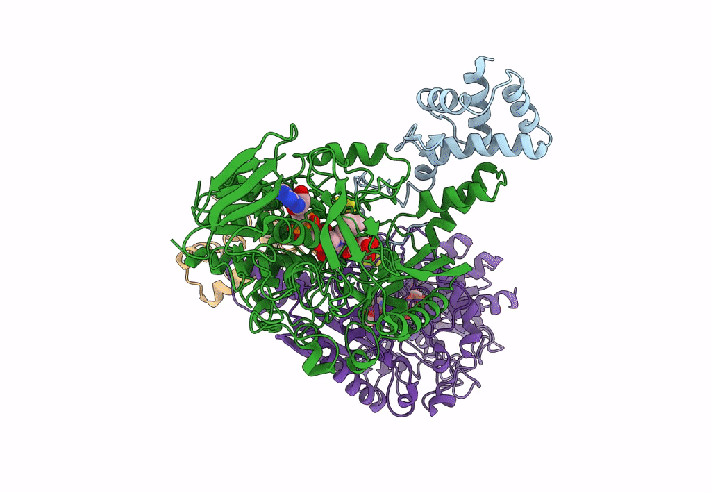 8GRJ image
