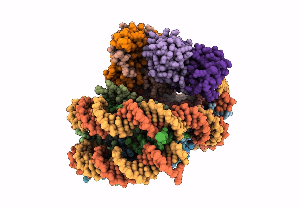 8GRM image