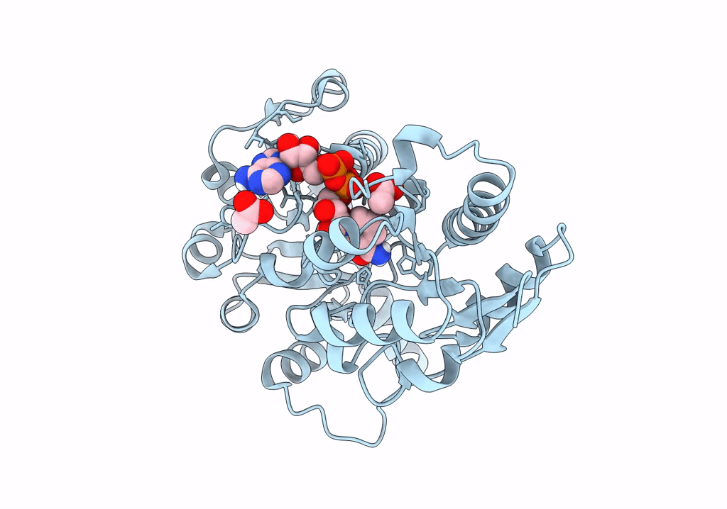 8GRV image