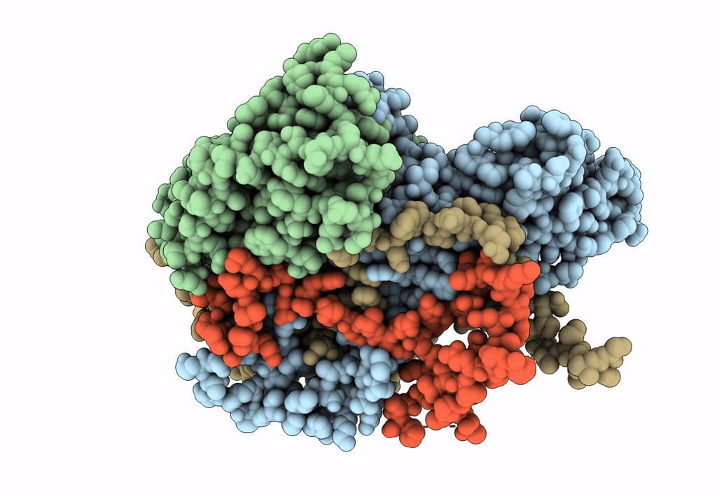 8GSD image