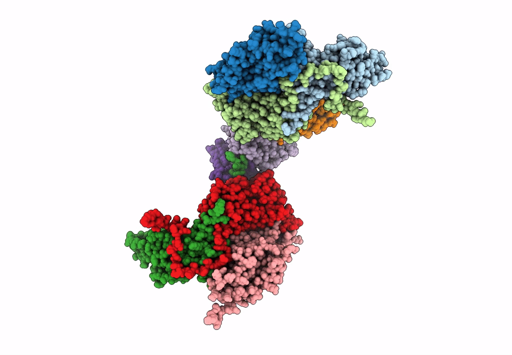 8GSF image