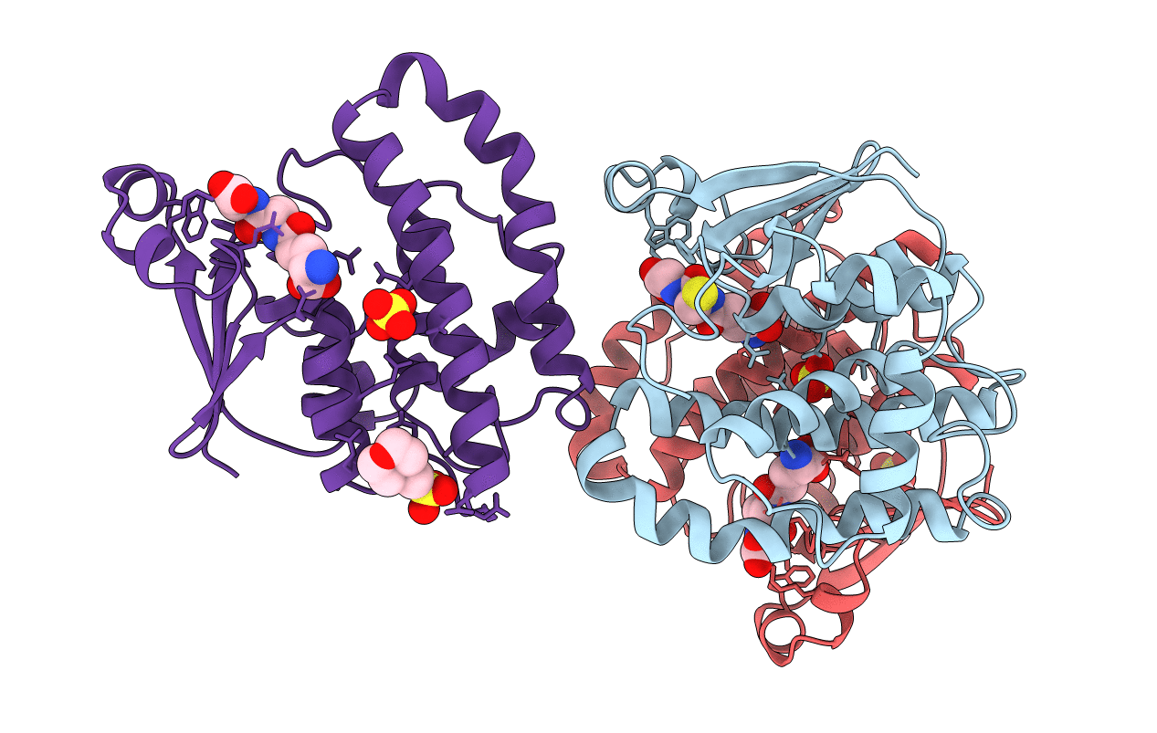 8GSS image