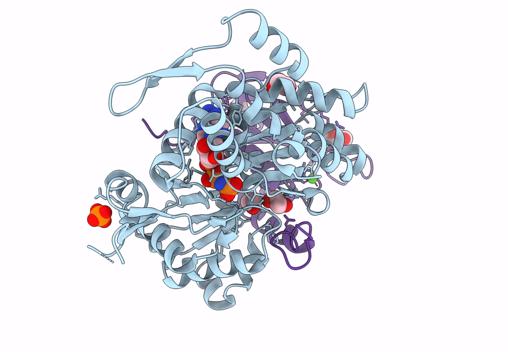 8GSW image