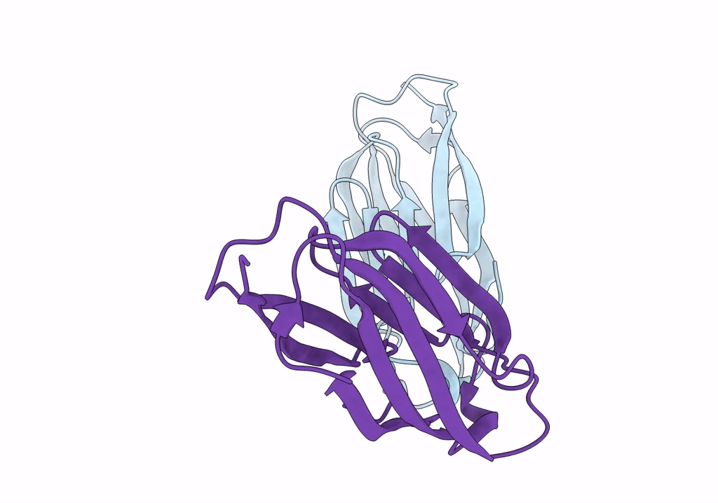 8GSY image