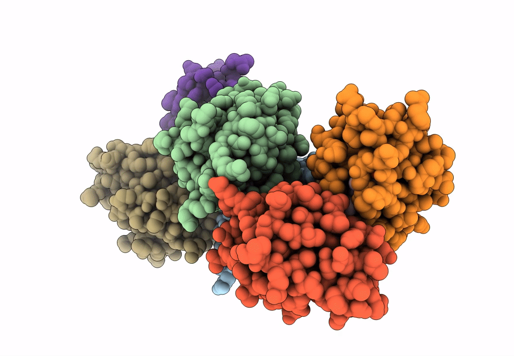 8GTH image