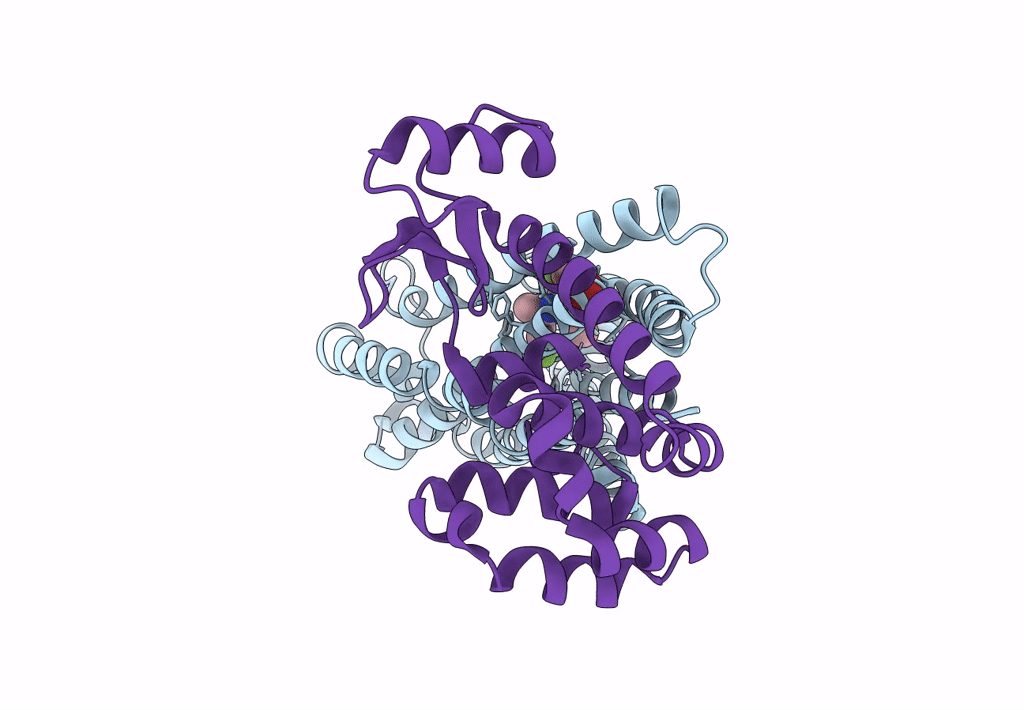 8GTM image