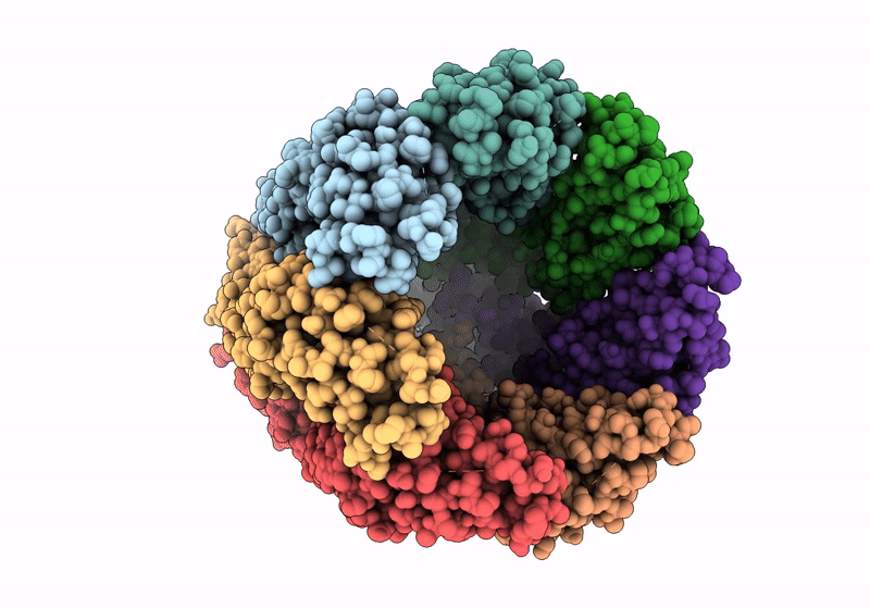8GTT image