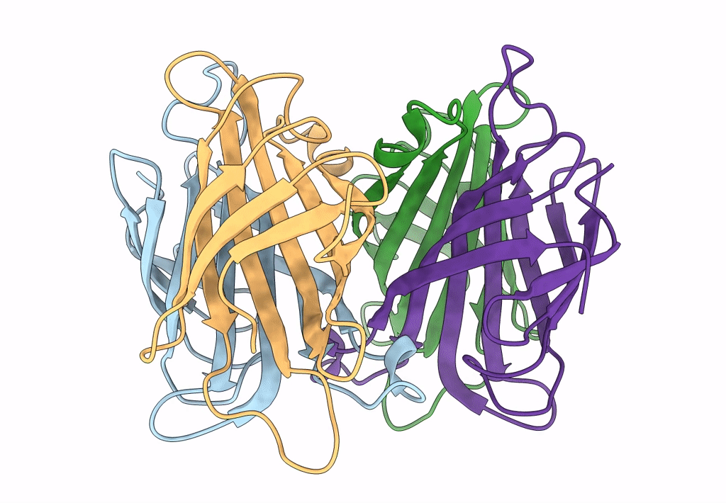 8GVK image
