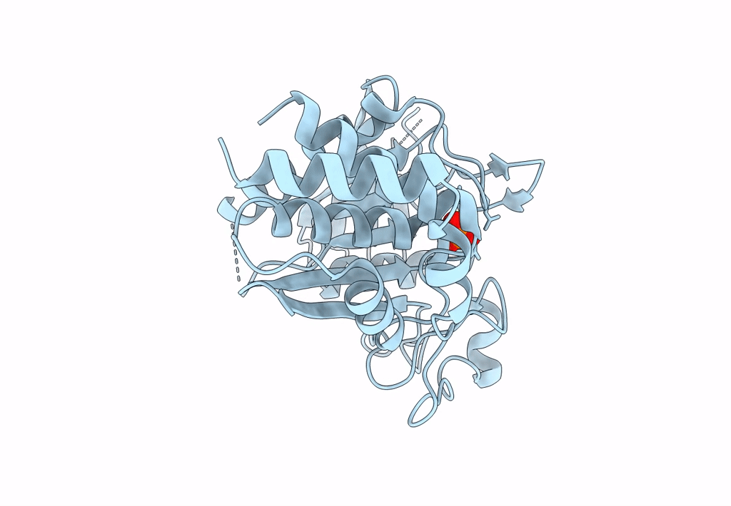 8GVV image
