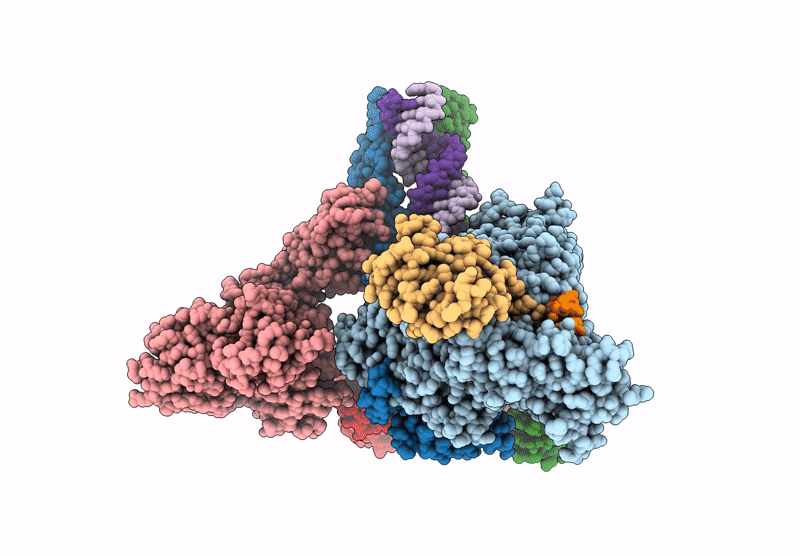 8GWE image