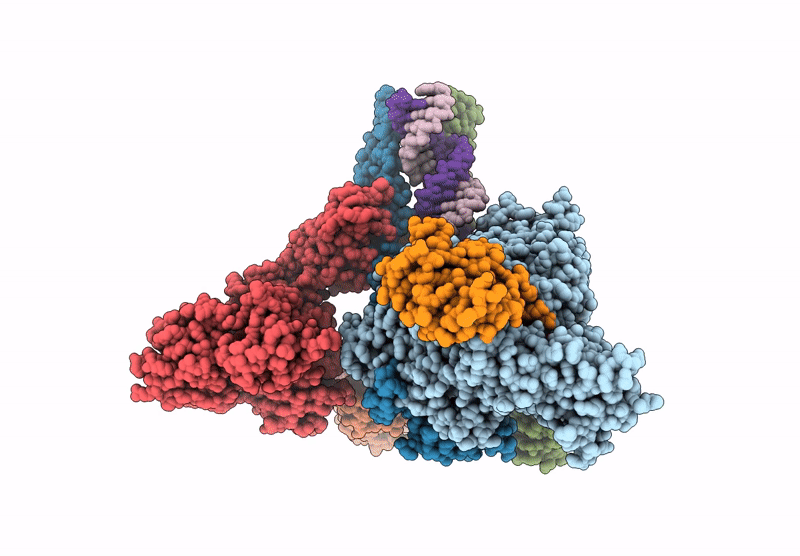 8GWF image