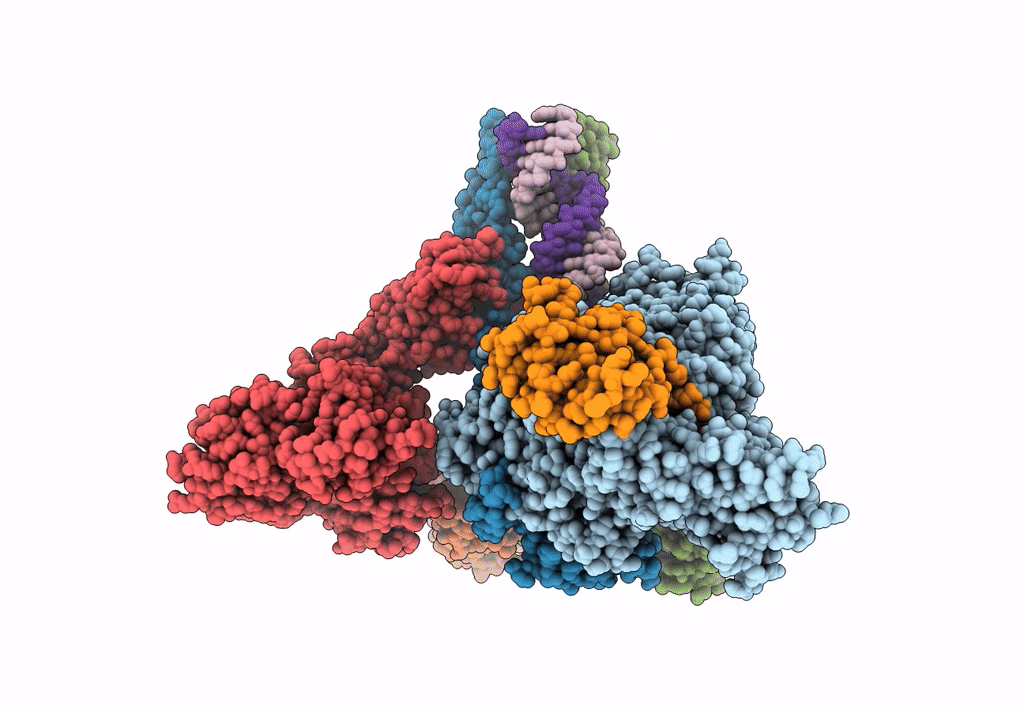 8GWI image