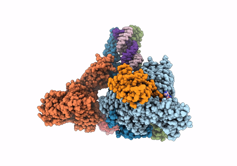 8GWK image