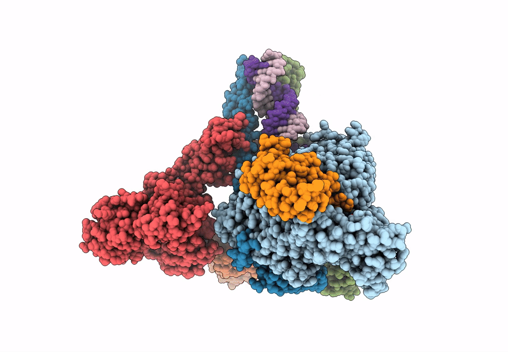 8GWN image