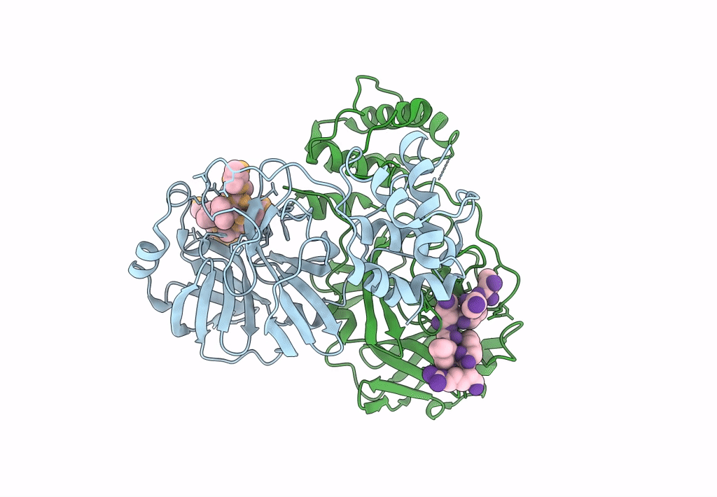 8GWS image