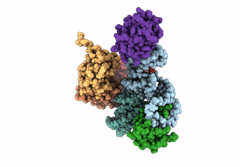 8GXC image