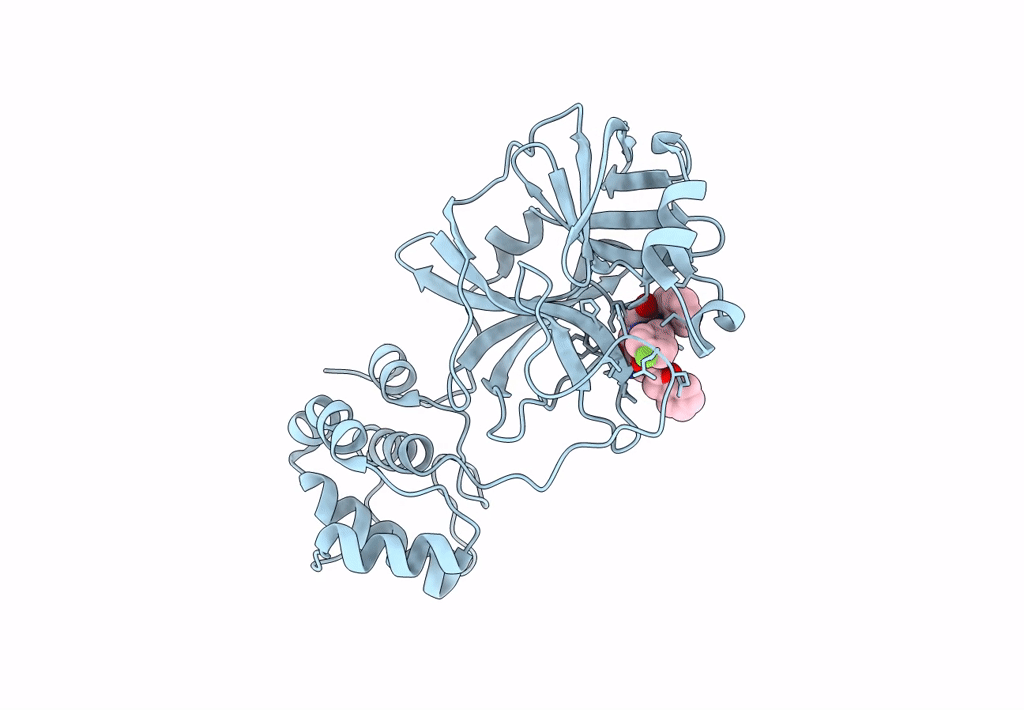 8GXG image