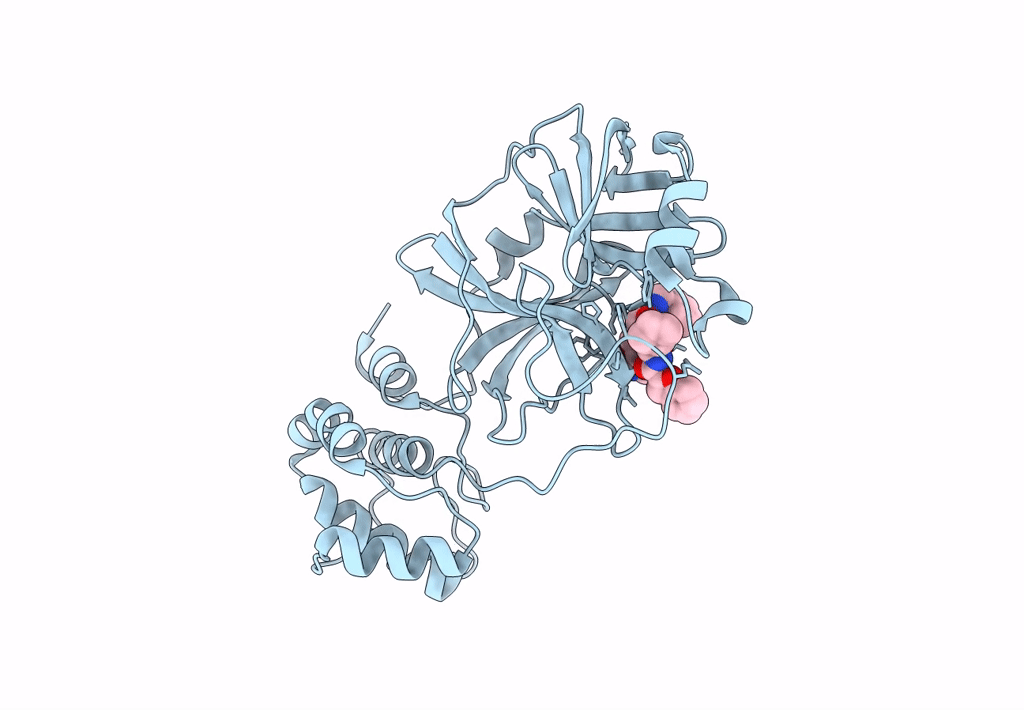 8GXH image