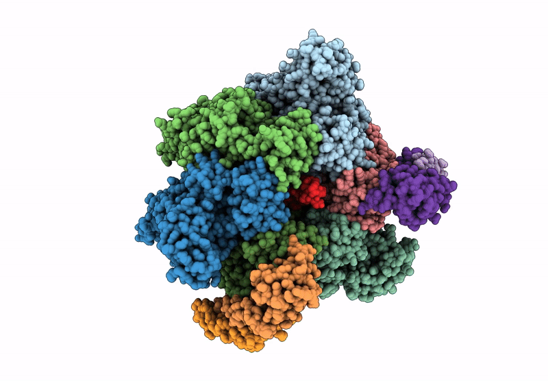 8GXW image