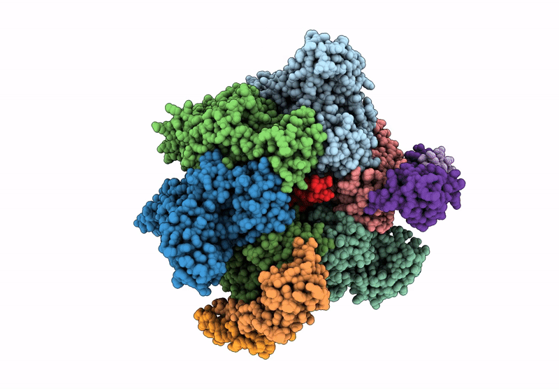 8GXX image